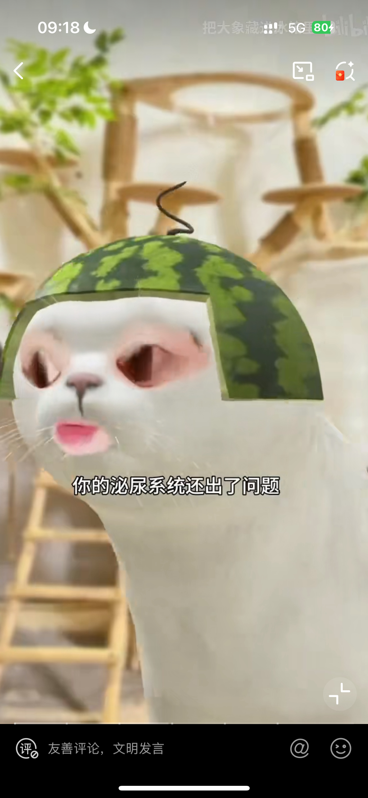 没认真看某人的怨天尤人的小作文现在才知道某人把泌尿系统出问题也归结到我鱼啊啊啊啊