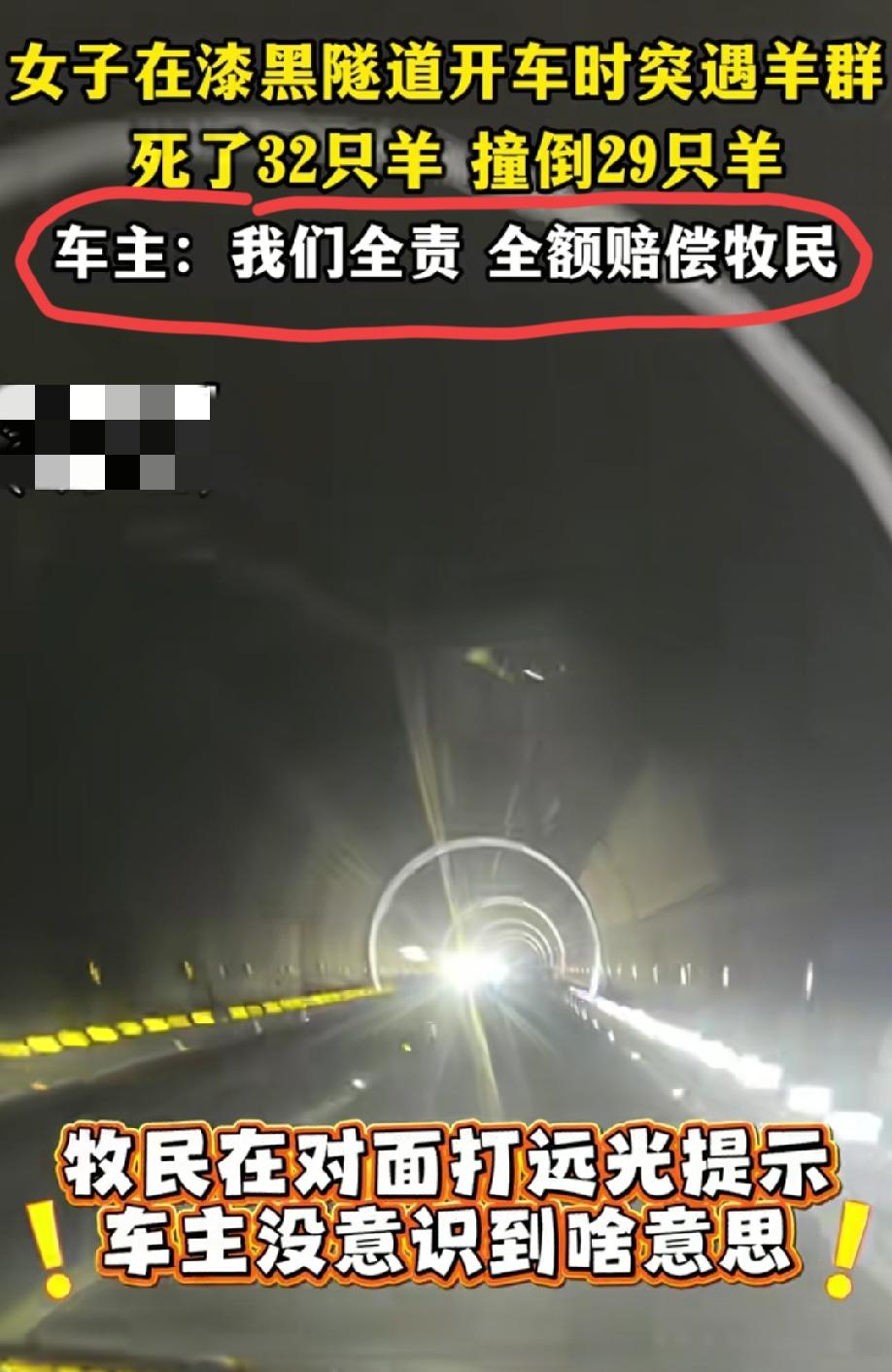 女子驾车在隧道内行驶时突遇羊群，撞倒了29只羊，赔了牧民32只！ 
视频中，牧民