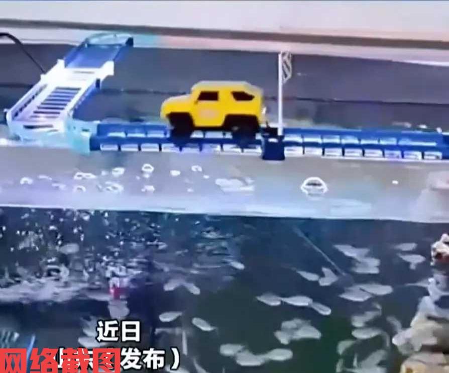 山东潍坊有男子家饲养了观赏鱼。

只男子在养鱼的过程里发现鱼群太过于散漫，自己投