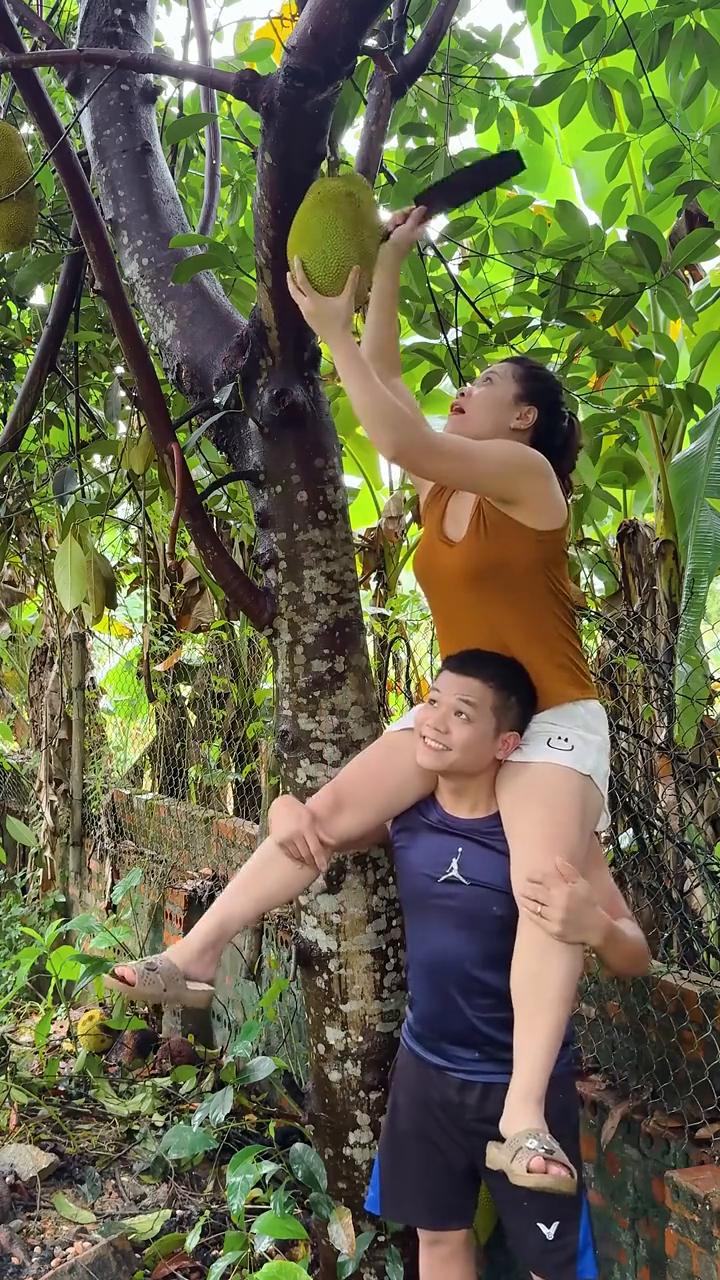 哈哈哈哈。