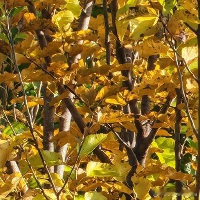 如果你是正确的，不要过多地争辩。人生逆境时，切记忍耐；人生顺境时，切记收敛；人生