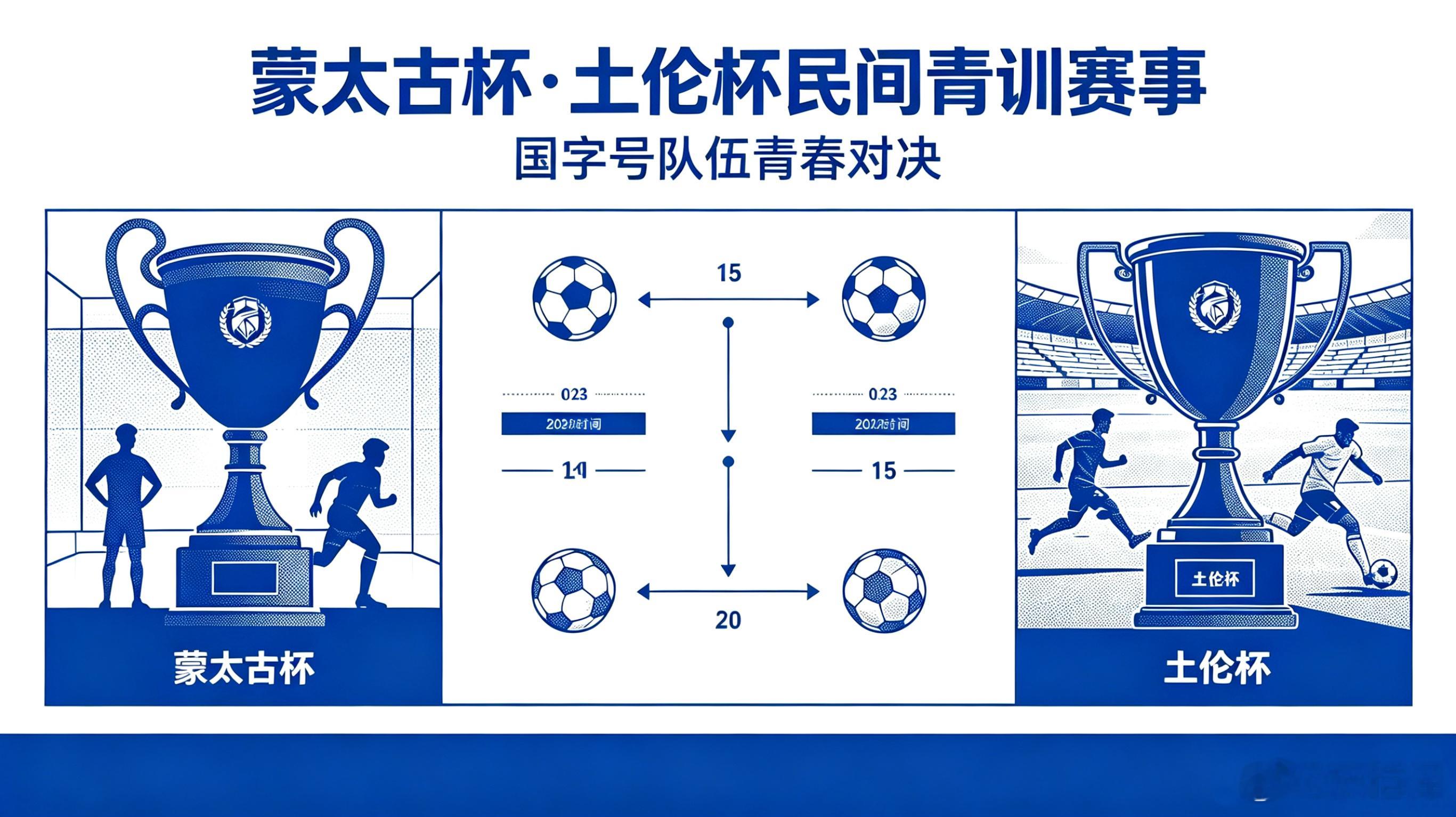 均为法国民间俱乐部/个人创办，非FIFA官方赛事；无国际足联积分，但全球青训认可