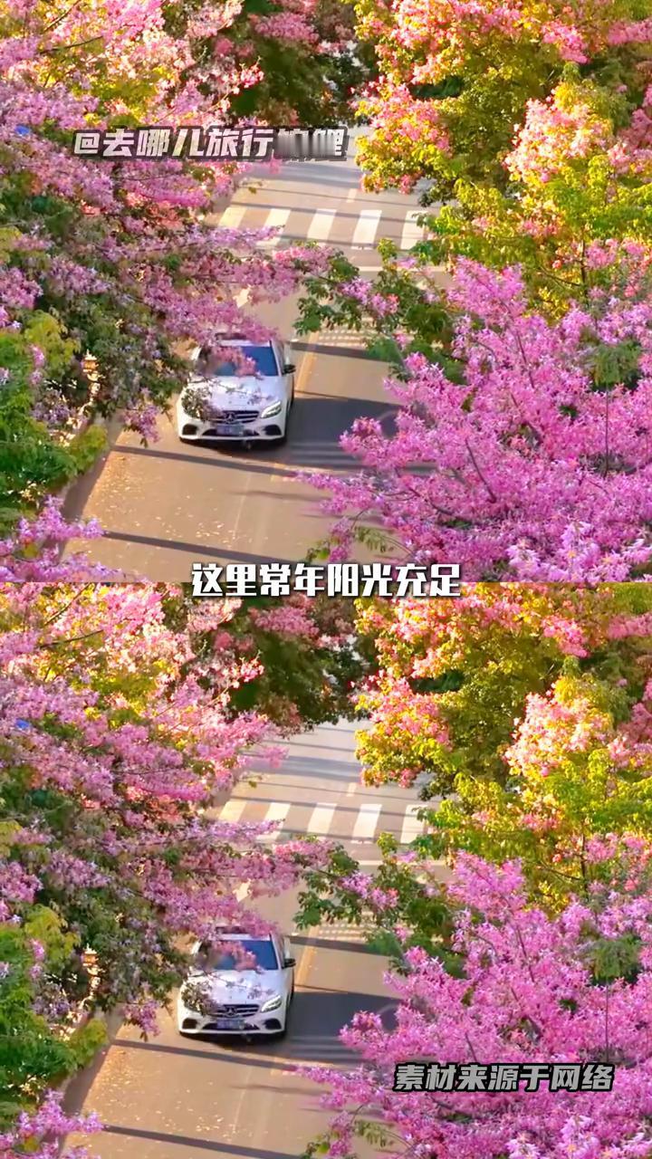 攀枝花冬天有多美？省心旅游就找去哪儿。
去哪儿旅行锦鲤。
攀枝花，一个没有冬天的