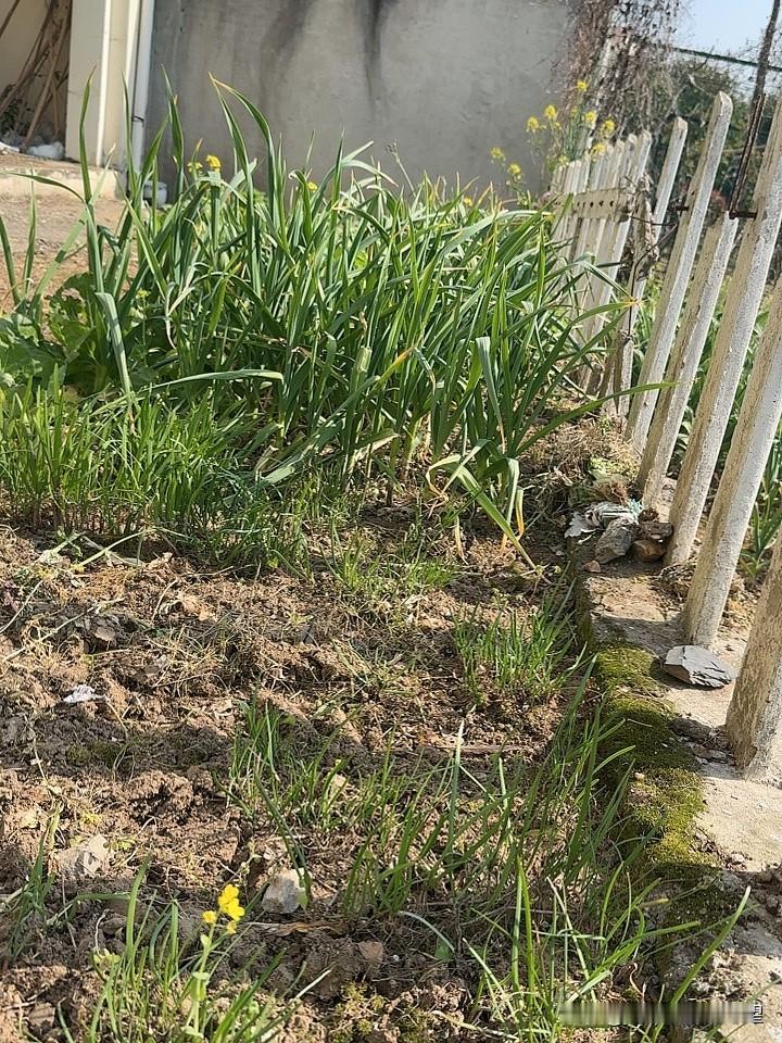 月入400多元，每年硬生生存了6000元。八十多岁的农村老人他们是如何做到的？