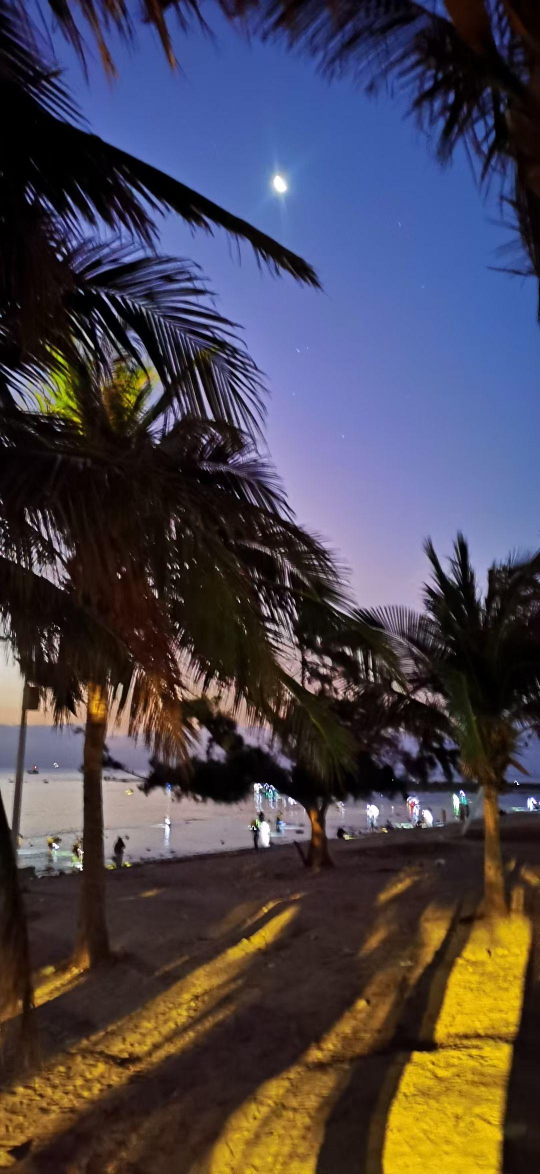 感恩岁月，感恩自己，感恩一路相伴的人
 
走在人生的路上，回头望望，才发现时光已