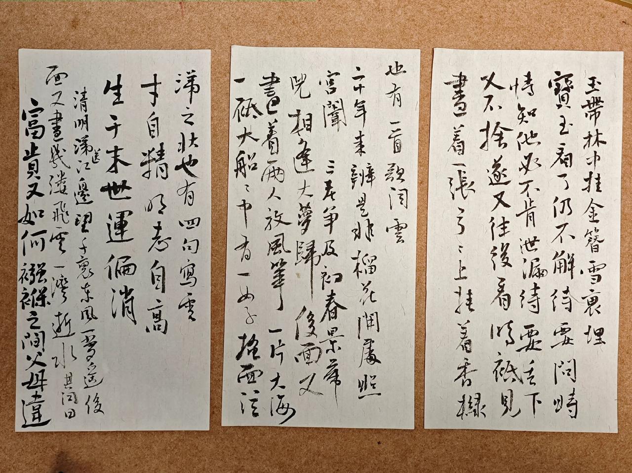 玉带林中挂，金簪雪里埋。宝玉看了仍不解。待要问时，情知他必不肯泄漏，待要丢下，又