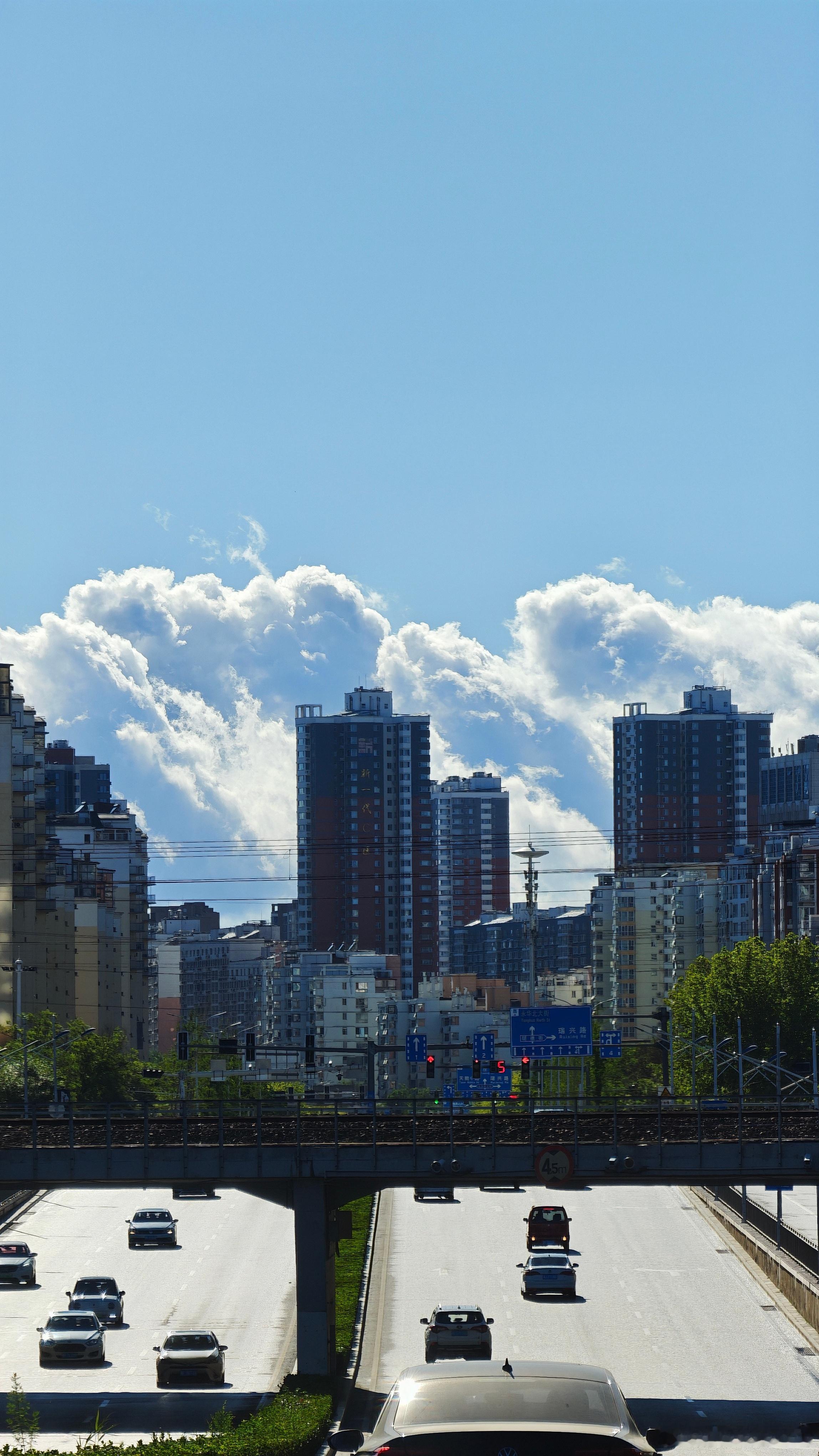 今天雨过天晴后这棉花糖绝了 保定