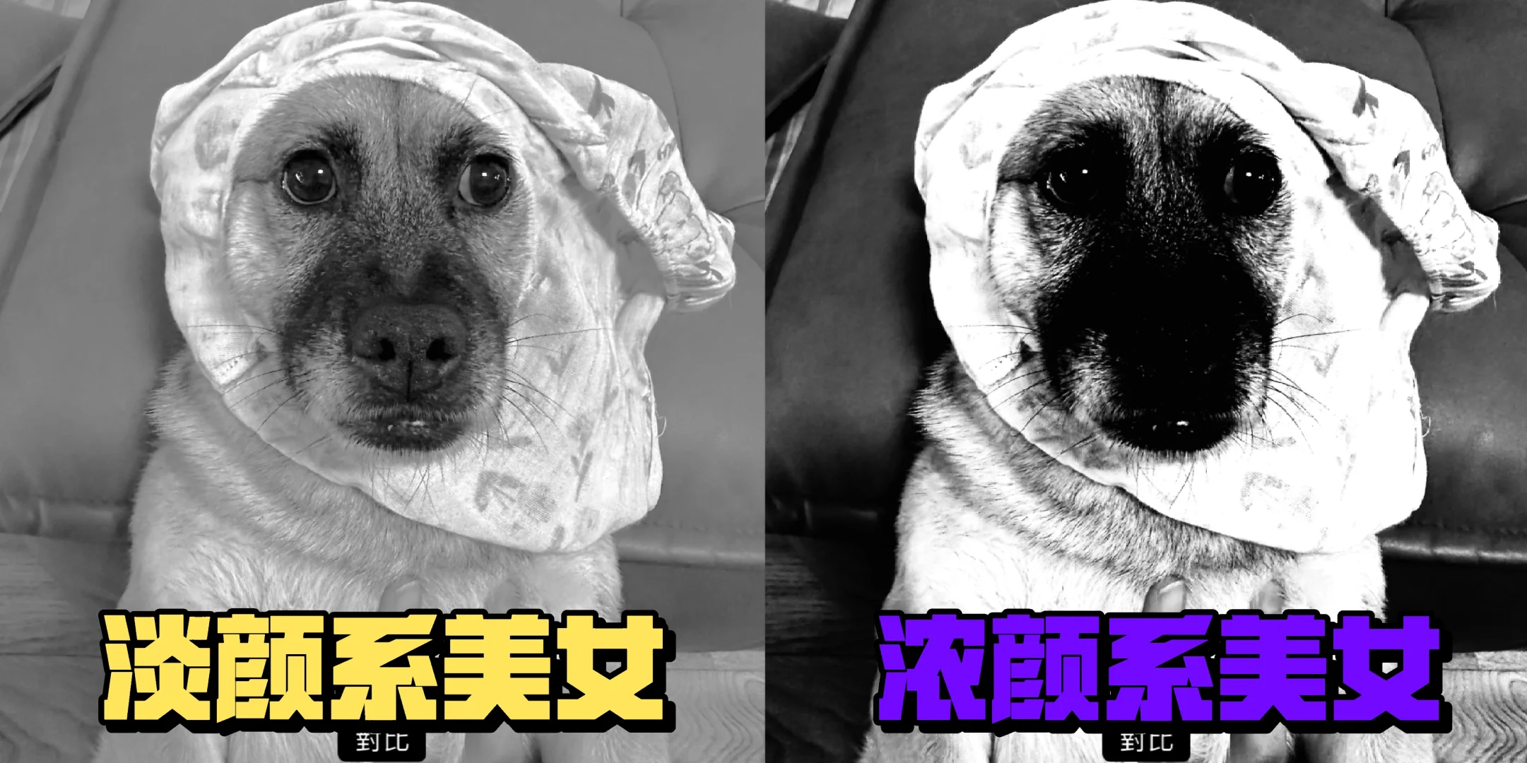 准备拍写真了