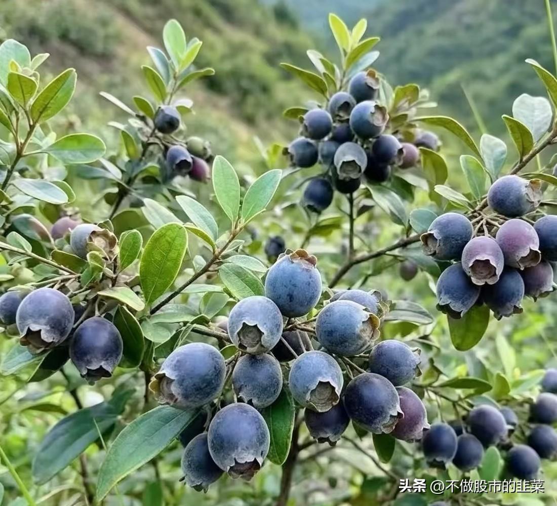 9.30早评，硬科技和人工智能迎来多重行业利好。
 
昨日指数整体表现平淡，市场