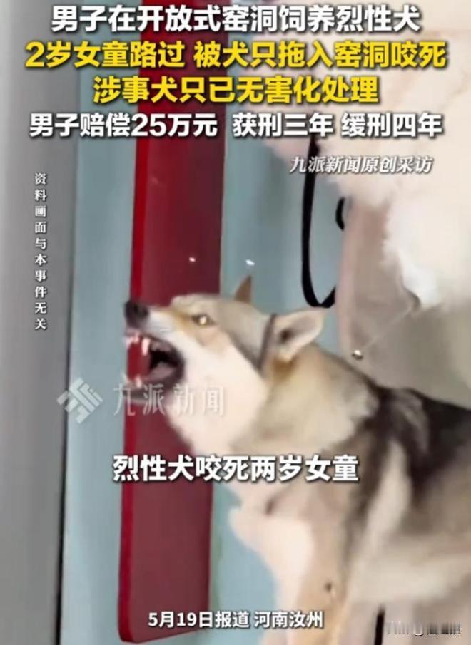 狼评天下：恶犬噬女童命竟一纸缓刑了结
 
河南汝州捷克狼犬咬死女童一案尘埃落定，