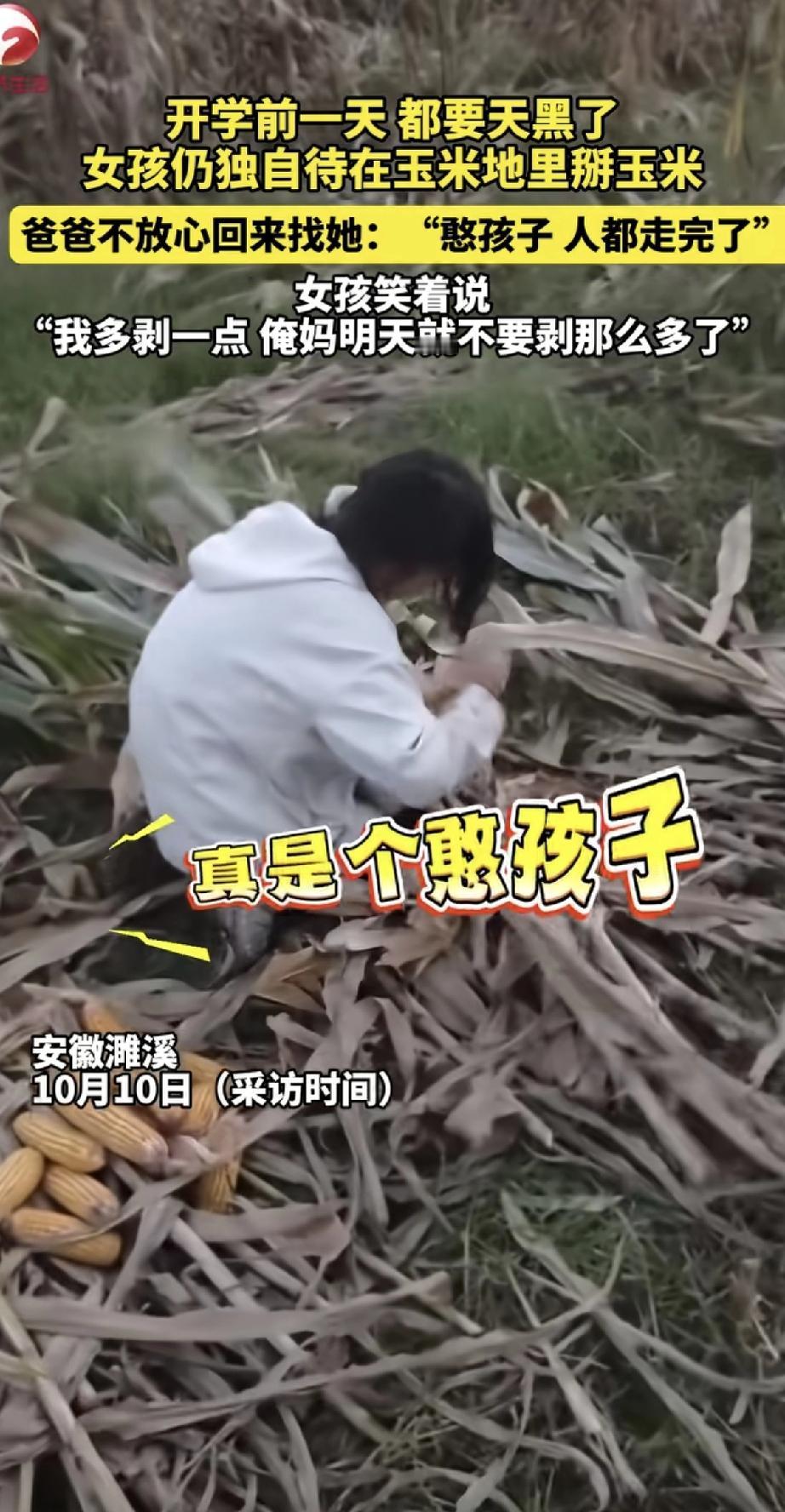 天都快黑了，玉米地里还有个小女孩在埋头剥玉米。爸爸不放心回来找，发现女儿还在忙活