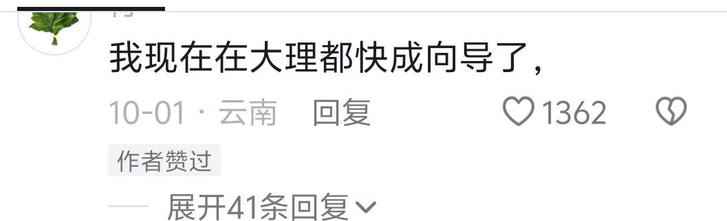 已成为固定景点的npc 