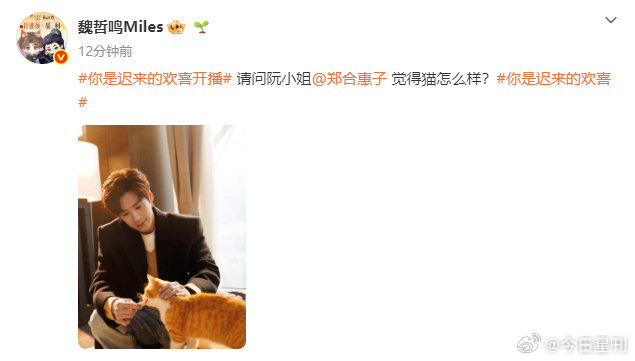 郑合惠子回复魏哲鸣 魏哲鸣郑合惠子互动郑合惠子回复魏哲鸣 