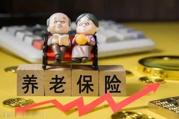 单位没给交养老保险，自己补缴的，费用可否向单位要回？今天我就详细说一下这个问题。