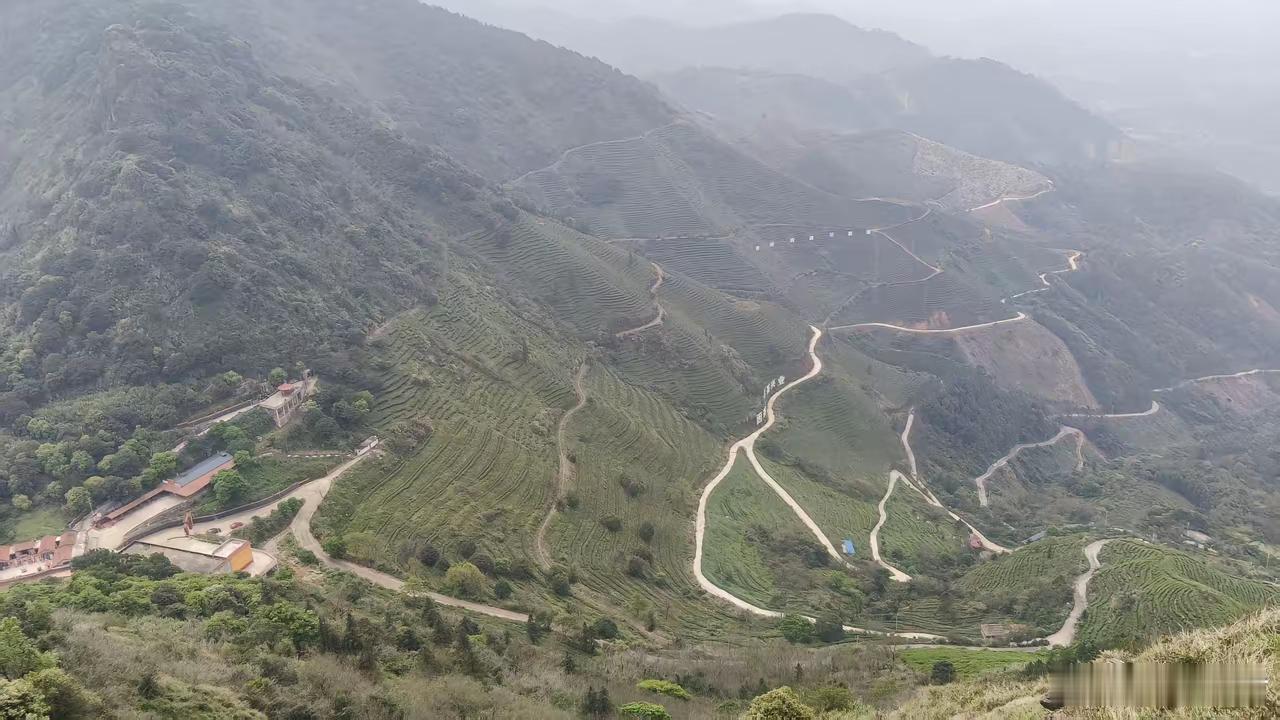 人生的顺序，千万别弄反第一睡觉，第二吃饭，第三运动，第四心态，第五工作。太多人活