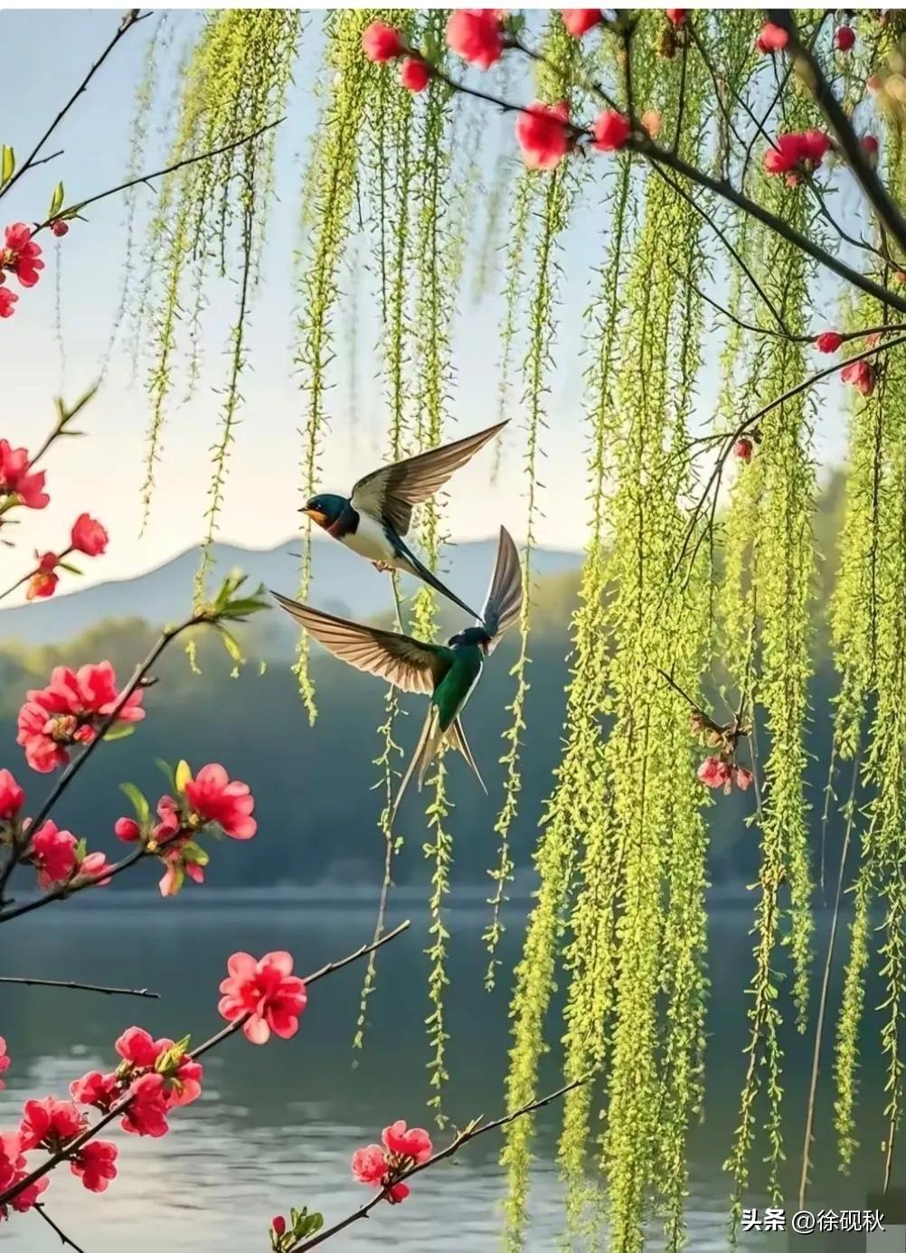 柳线牵云燕剪风
青枝翠影各玲珑
此身若化其中鸟
展翅翱翔仙境中