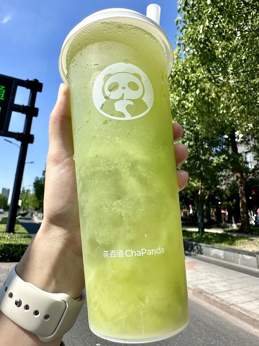 茶百道夏日zui清爽的青提茉莉终于回归了。。。