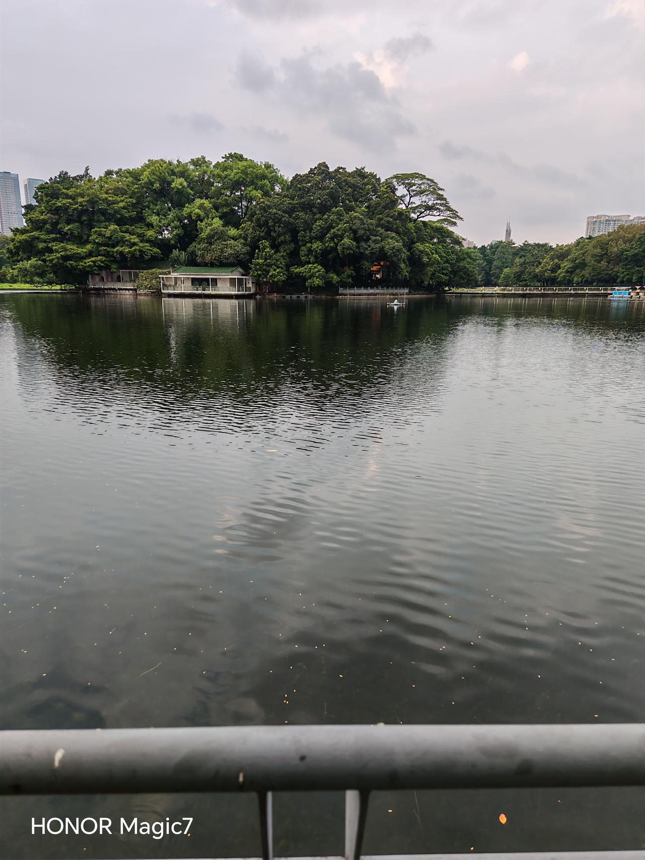 曾仁松随笔

小岛景区，是否该投喂流浪猫？

广州东山湖公园的踏春园，旧称浪漫花