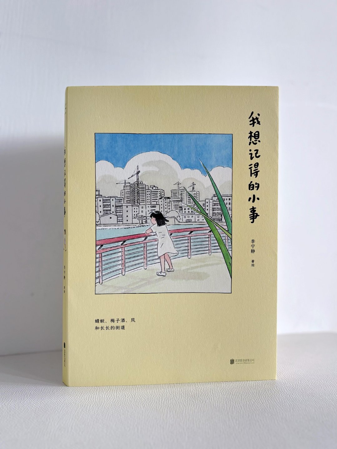《我想记得的小事》这本书，恰似一帧帧质朴而温馨的生活剪影，在翻阅中唤醒了我对平凡
