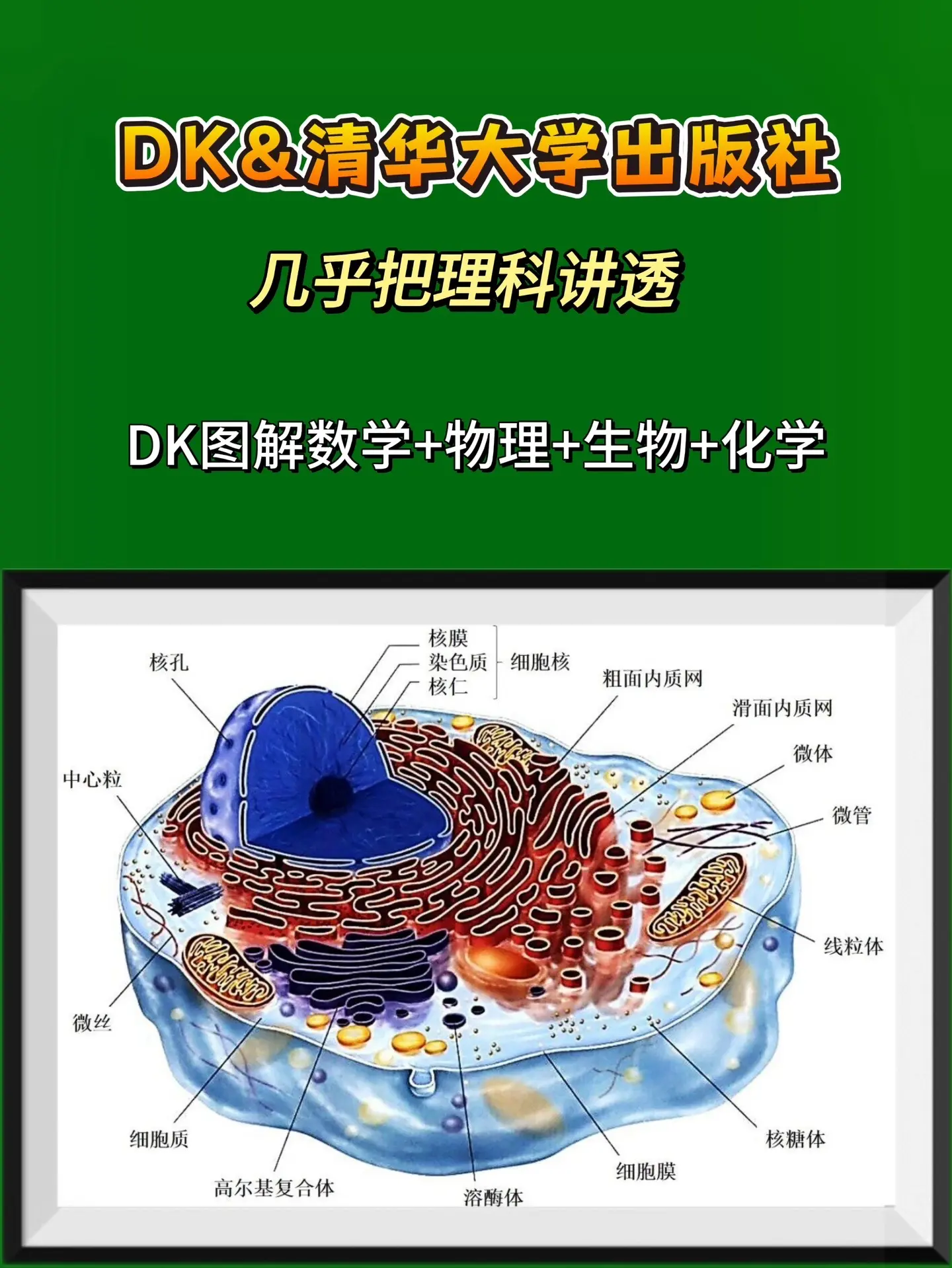 不愧是DK与清华大学出版社强强联手！DK图解理科系列，共4册：物理、数...