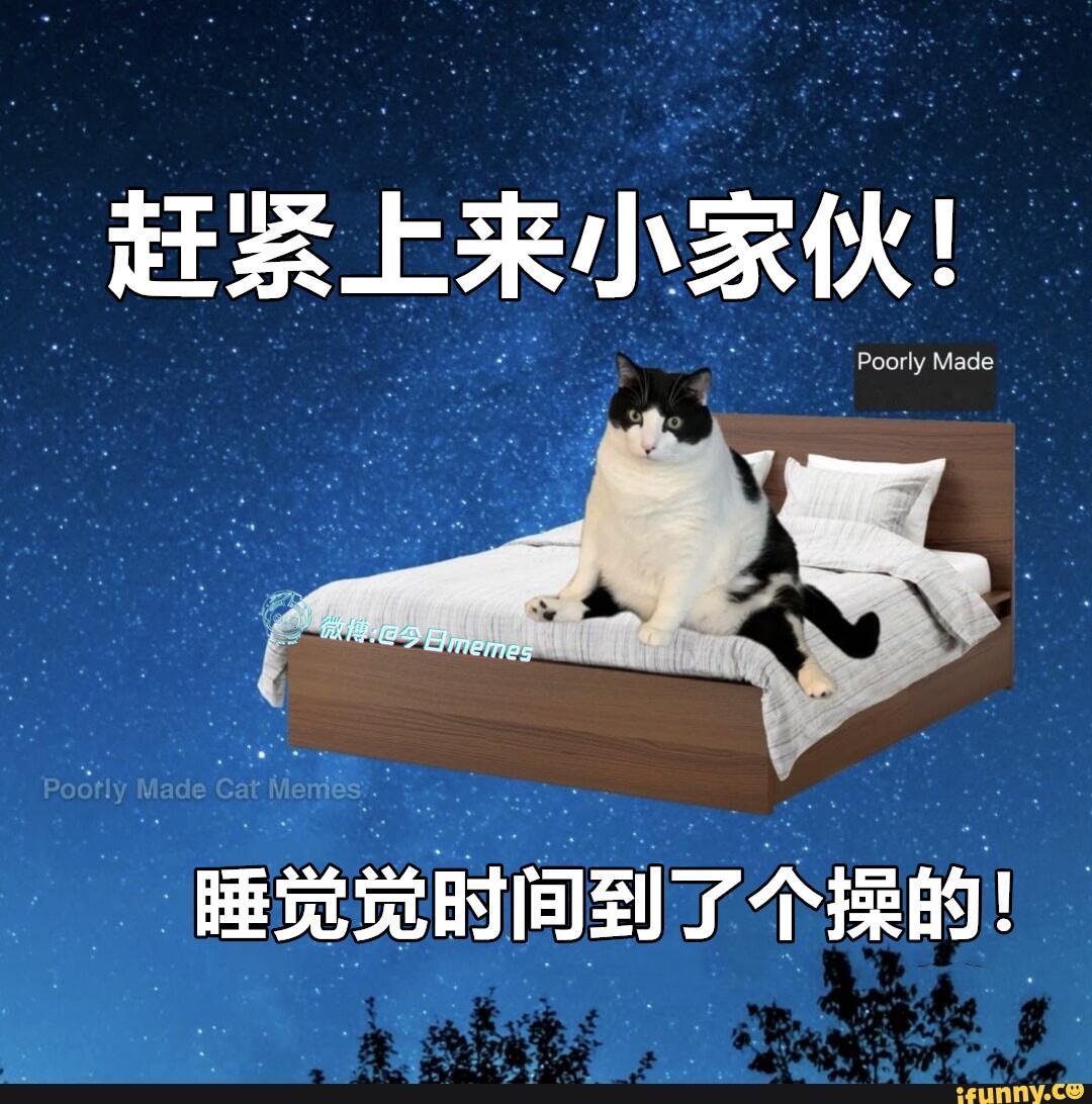 拍拍拍（9gag）今日meme今日memes