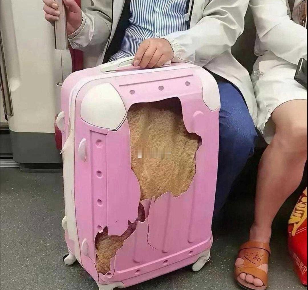 还以为是个破箱子结果是我看错了！ 