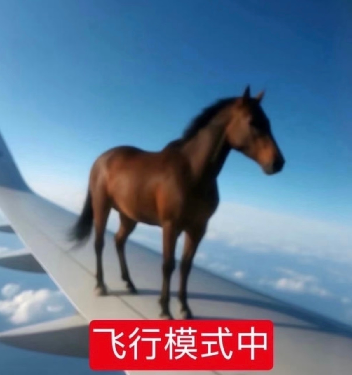 暑假去哪里玩 取决于我去哪里追线下 