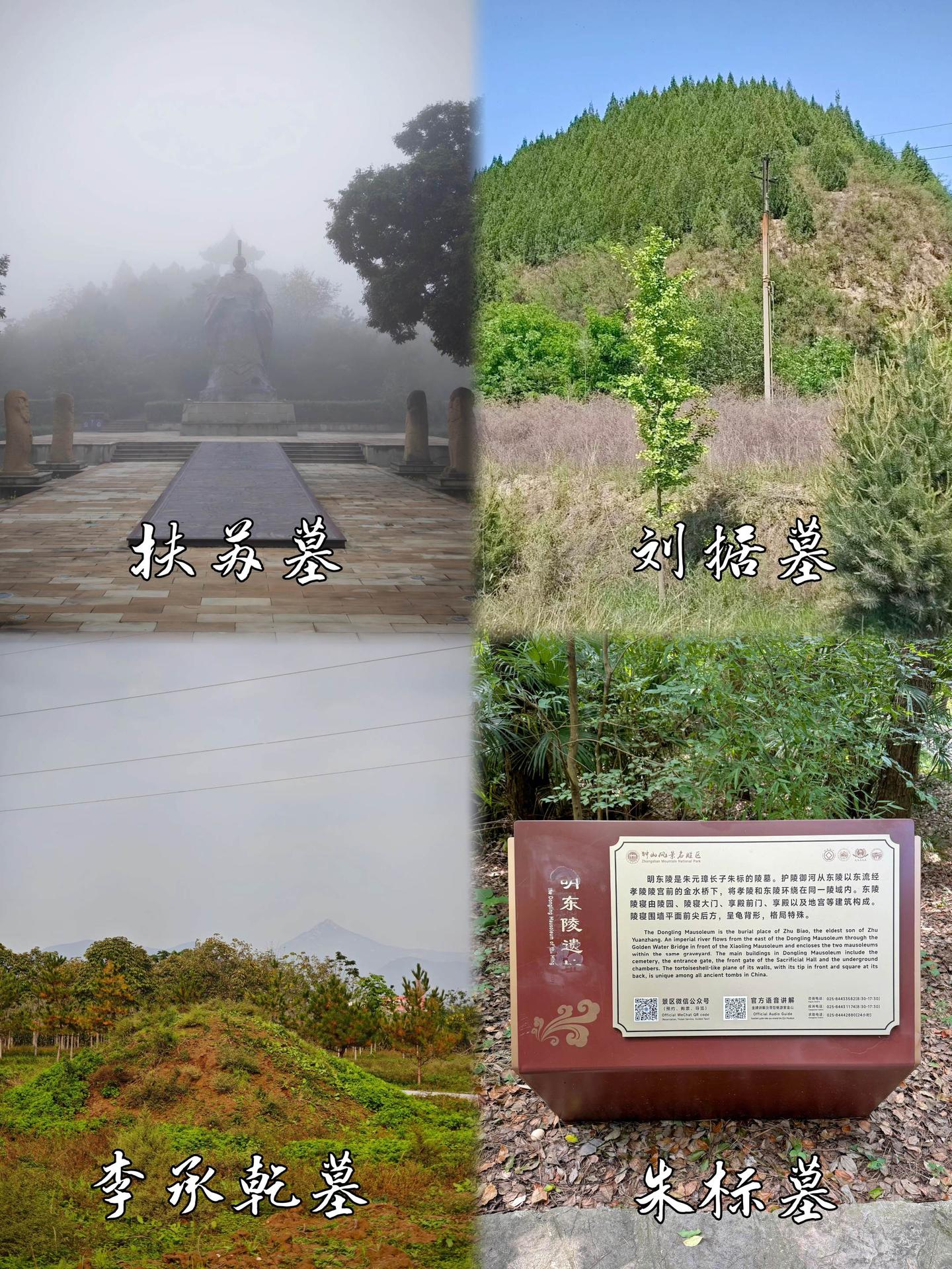 历史不容假设，他们四人未能继位是否也令你感到遗憾呢？换做是你，拥有千古...