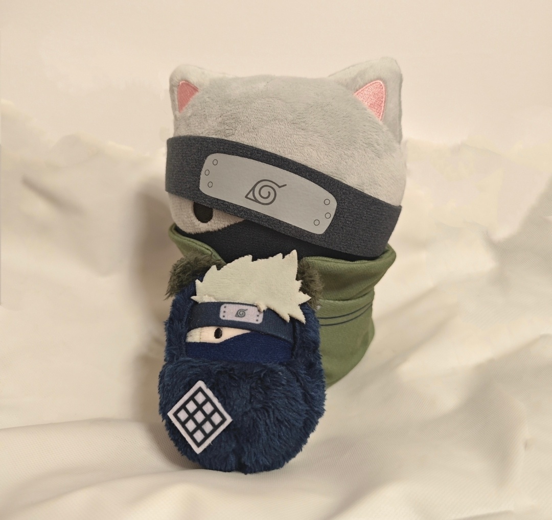 4670.猫鼠 