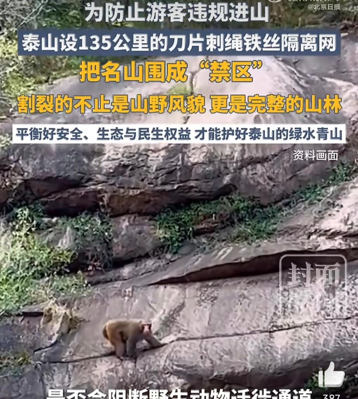 泰山疑被135公里刀片铁丝网围住
泰山景区为防火防虫和阻止驴友擅闯，沿周边建起1