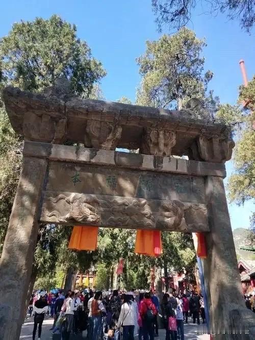 我每年都会去藏区，发现自从2017年藏区开通4G以后，寺庙里年轻喇嘛的网瘾确实挺