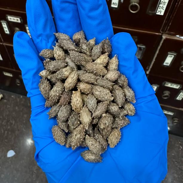 精髓亏虚髓海空！妙用一方唤醒耳源动力，填精生髓鸣响停
临床上有一类耳鸣患者值得深