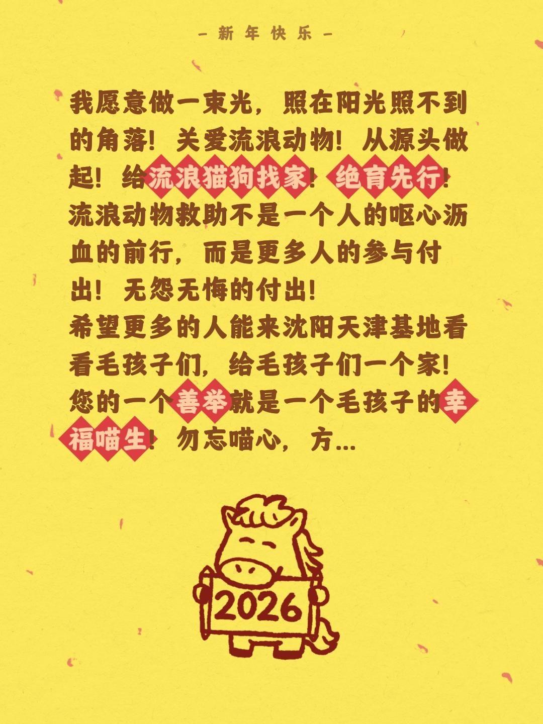 我评论了@小刚给流浪猫找家（沈阳和天津哈尔滨） 的作品：
我愿意做一束光，照在阳