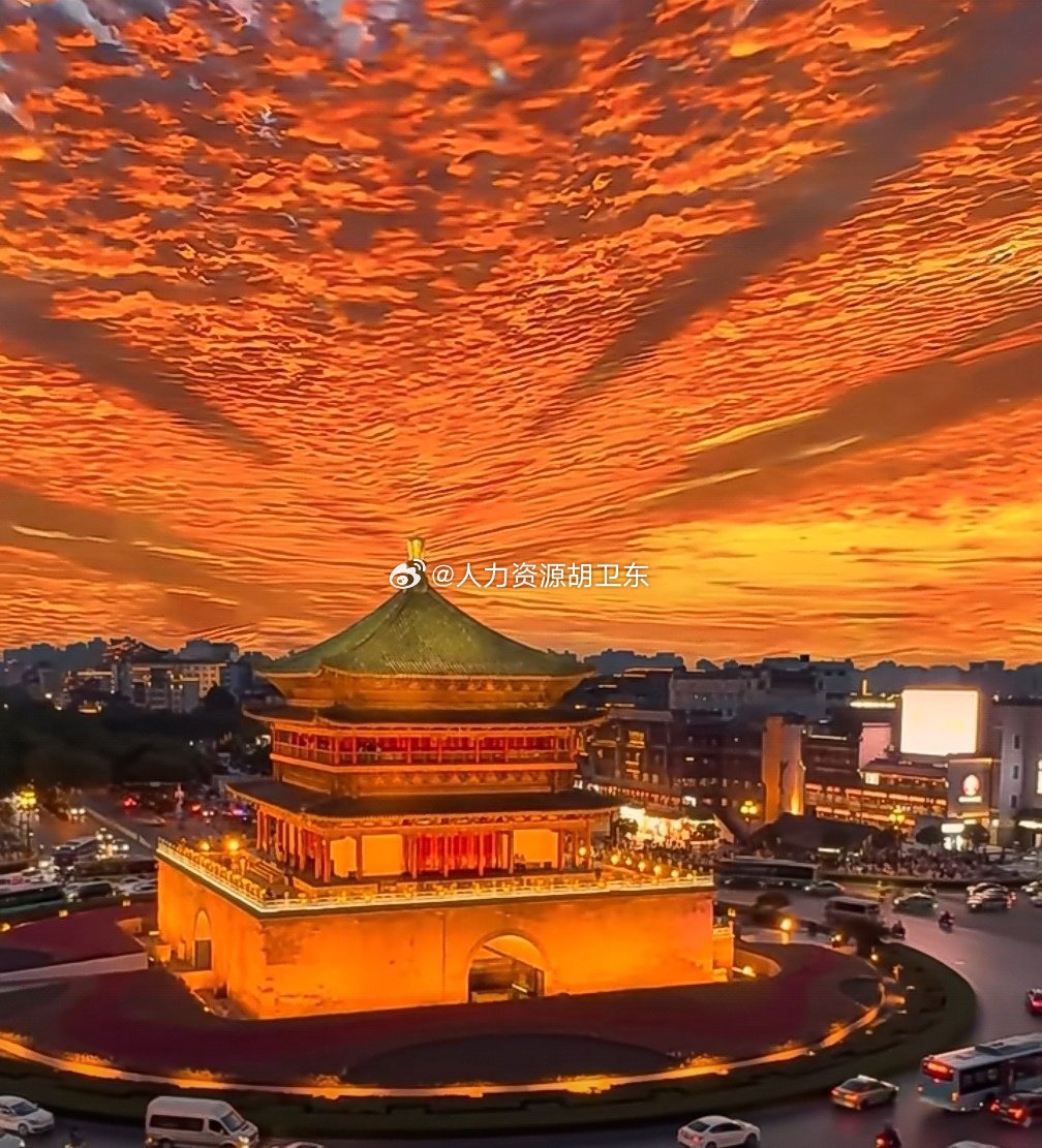 分享图片 