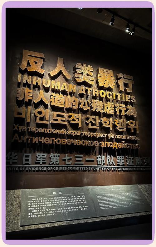 《731》：一场超出预期的历史回望！
 
早听说《731》要上映，我却一直躲着—