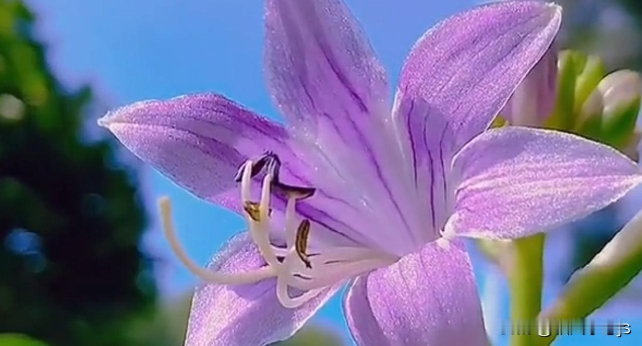 闫老师倒苦水可以理解。有钱人的生活跟咱普通人完全是两个世界。

之前听说一个富豪