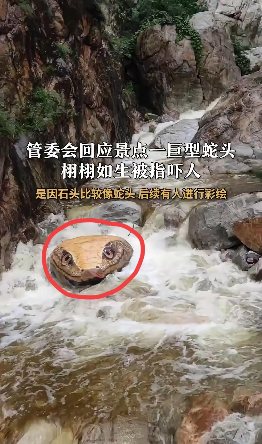 各位朋友，最近上网，你有没有被一条巨大的“蛇”刷屏？
别慌，不是《狂蟒之灾》拍续