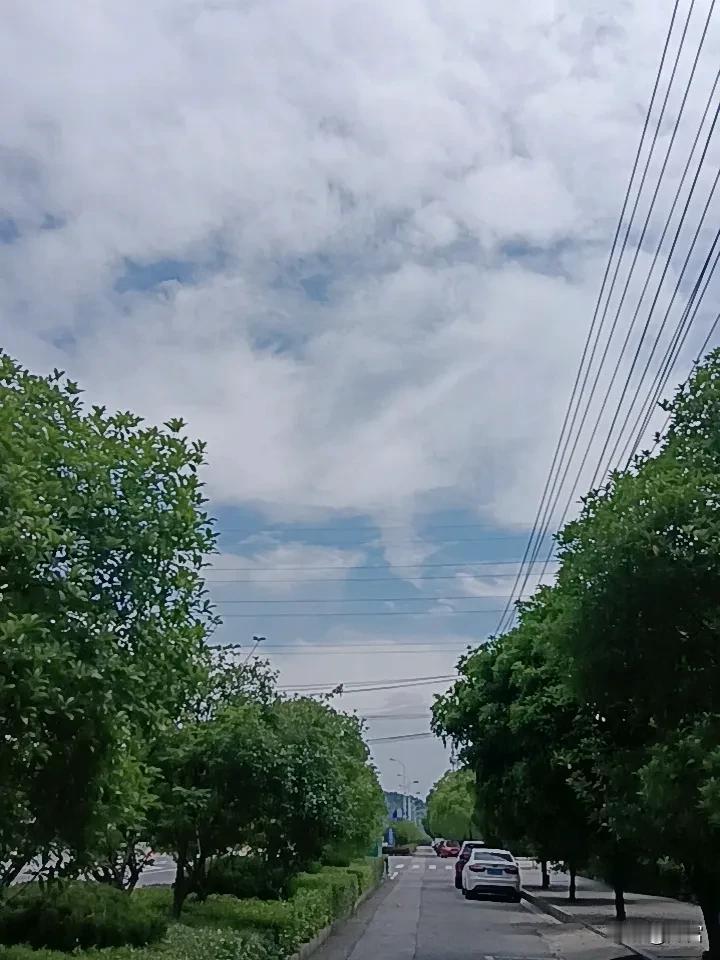 记录我的2026