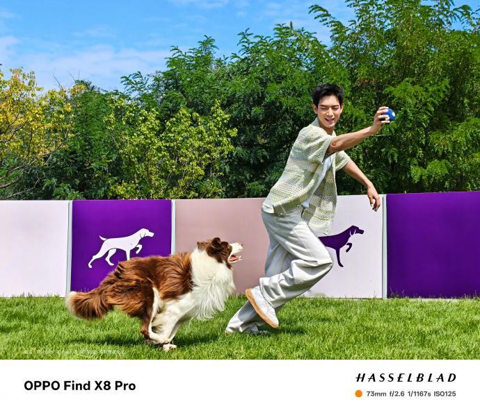 日常没少给我家的邪恶银渐层拍照，每次拍的时候都很苦恼，还没准备好它就跑远了。不过