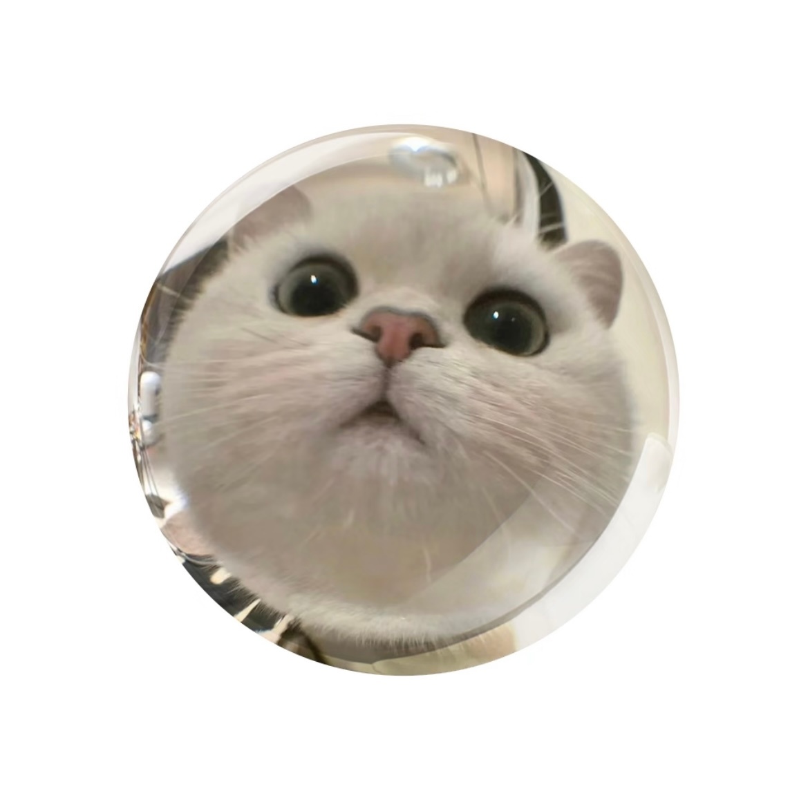 Apple ID 圆形头像 ​​​