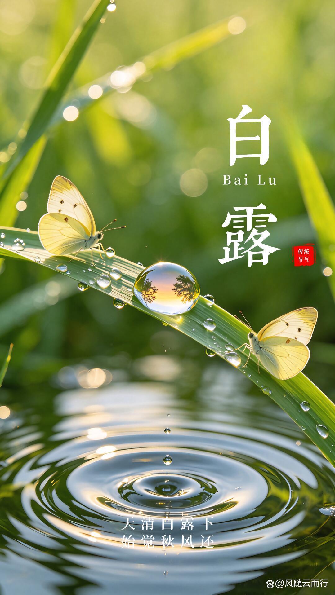 农业实现机械化
9/14/八/初四/晴/吉祥
白露季节又过半，
马上就到秋分节。