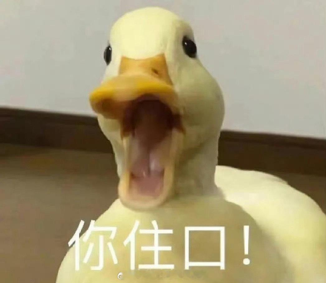 刘浩存演现偶 大炮轰蚊子这是什么新型宣传方式，刘浩存虽然在大部分时候蛮灵的，但是