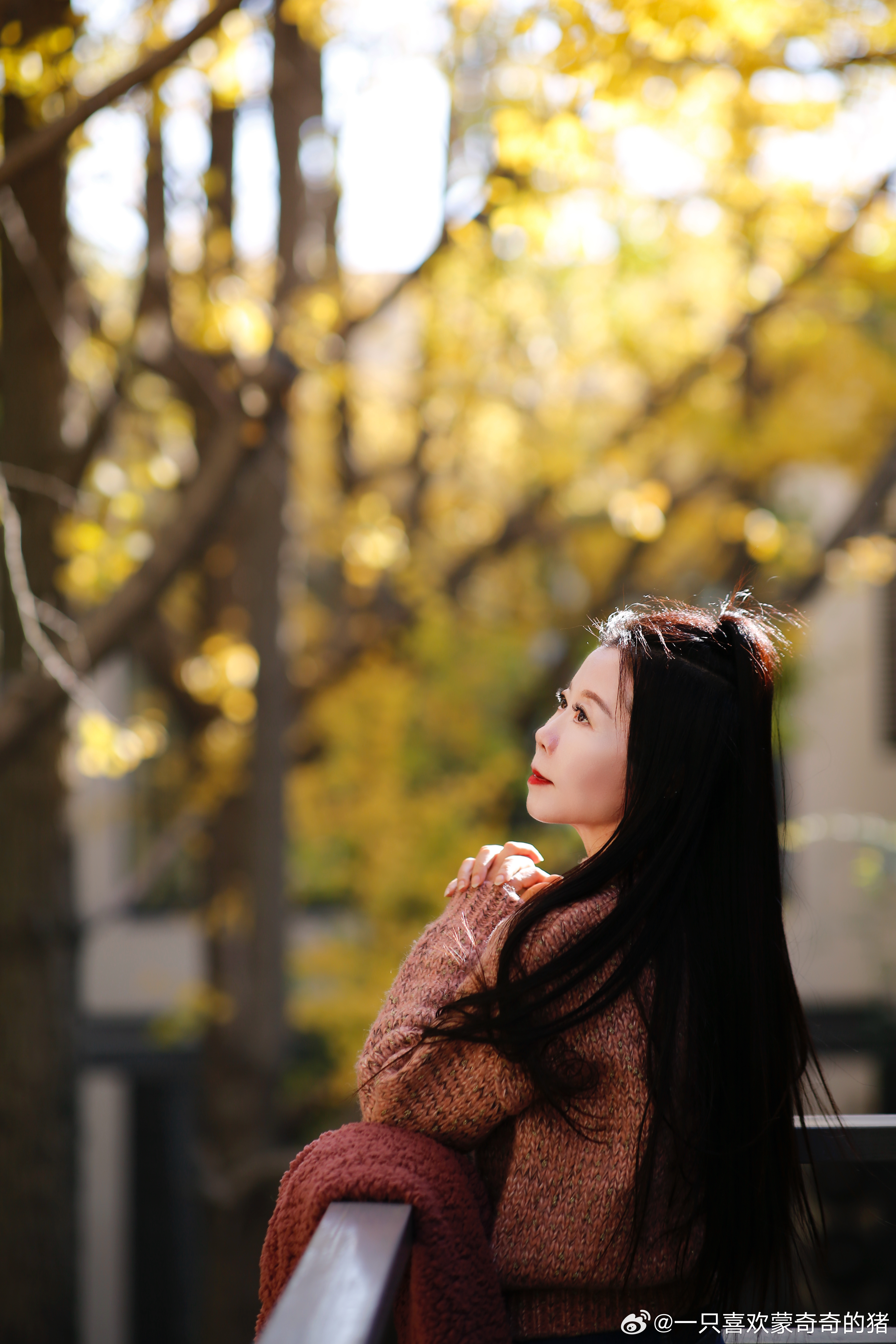 银杏叶是初冬温暖你的情书一片一祝福一叶一思念愿你把满天的金黄收藏在心里  ​​​