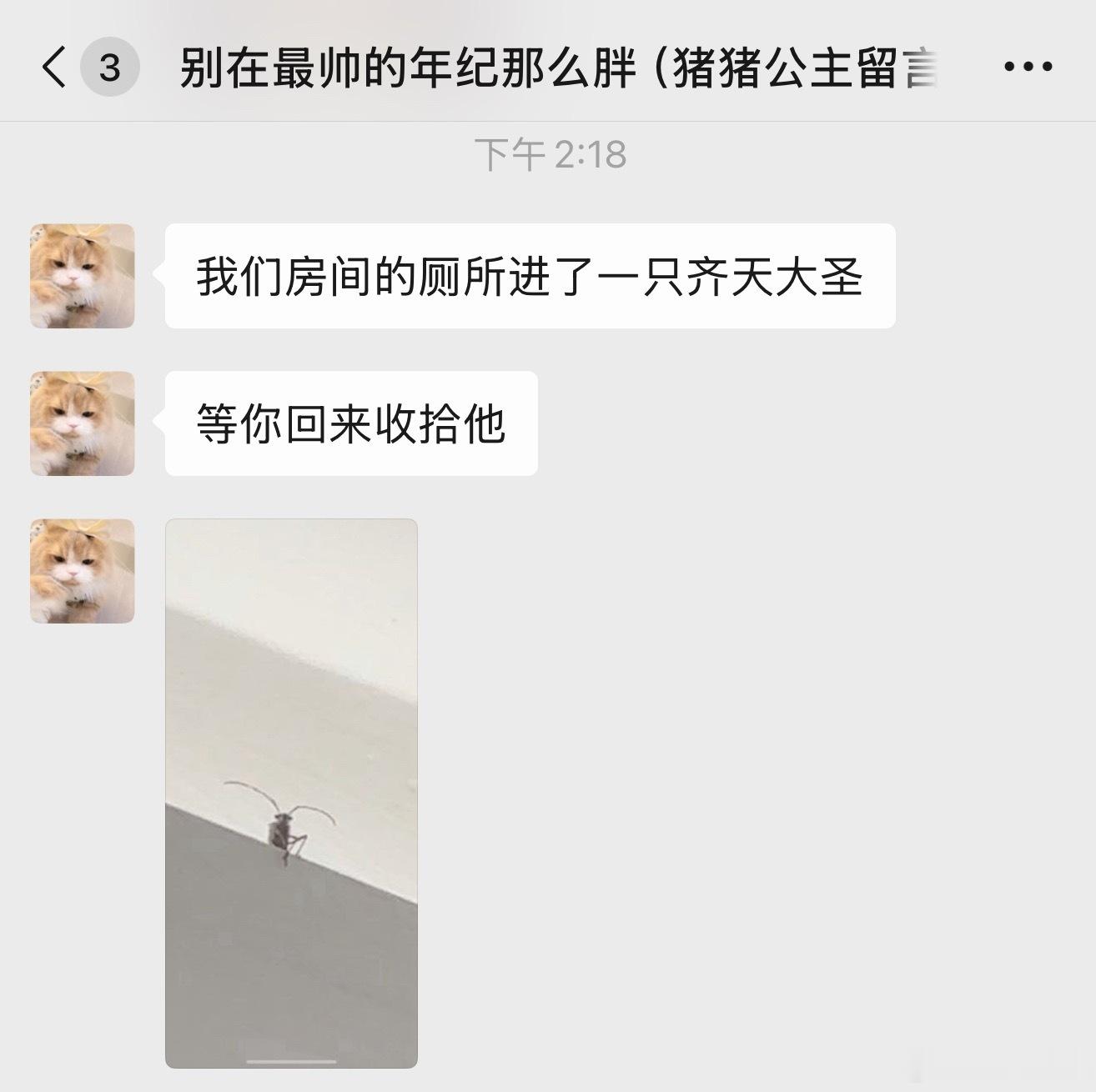 奶盖说等我回去收拾它有没有一种可能我也怕这是什么东西啊！！！！怎么会在我家啊！！