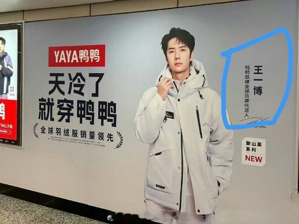 恭喜王一博成为鸭鸭品牌全球首席代言人，同时也恭喜鞠婧祎和陈哲远成为品牌代言人，期