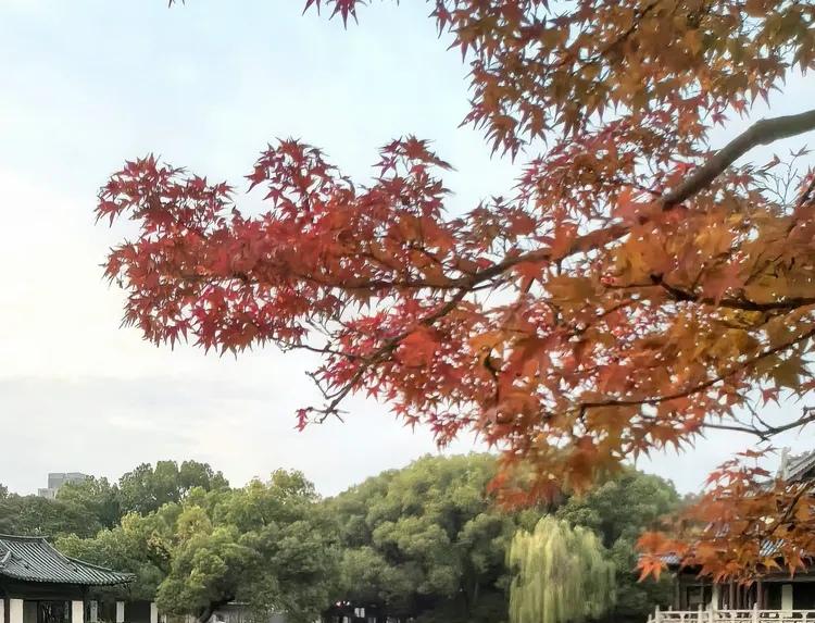 你有没有听说过“顶职”一说？

大概在80年代，父亲或母亲老了，退休了，可以把自