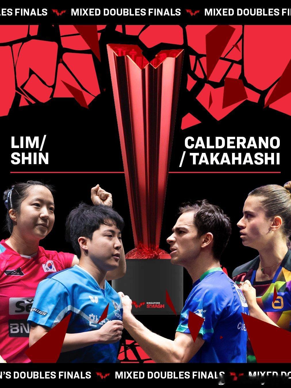 WTT新加坡大满贯2026 混双决赛海报 