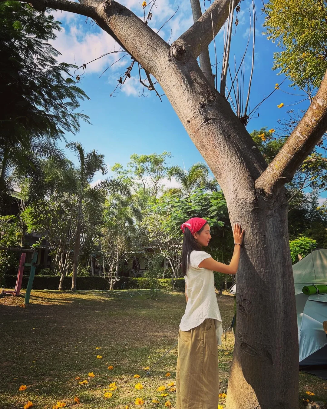 大地之母 愿新的一年提醒我们，以爱与善良来庆祝、珍惜与拥抱彼此 愿这新...