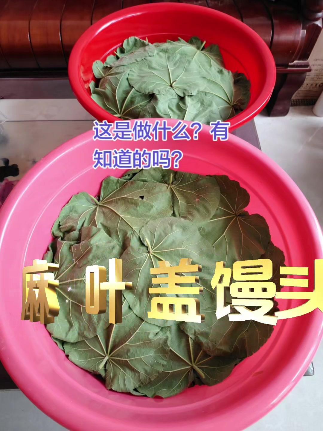 苏叶和麻叶盖馒头，是我家乡的传统做法，既简单又美味，还带着浓浓的家乡味。

1️