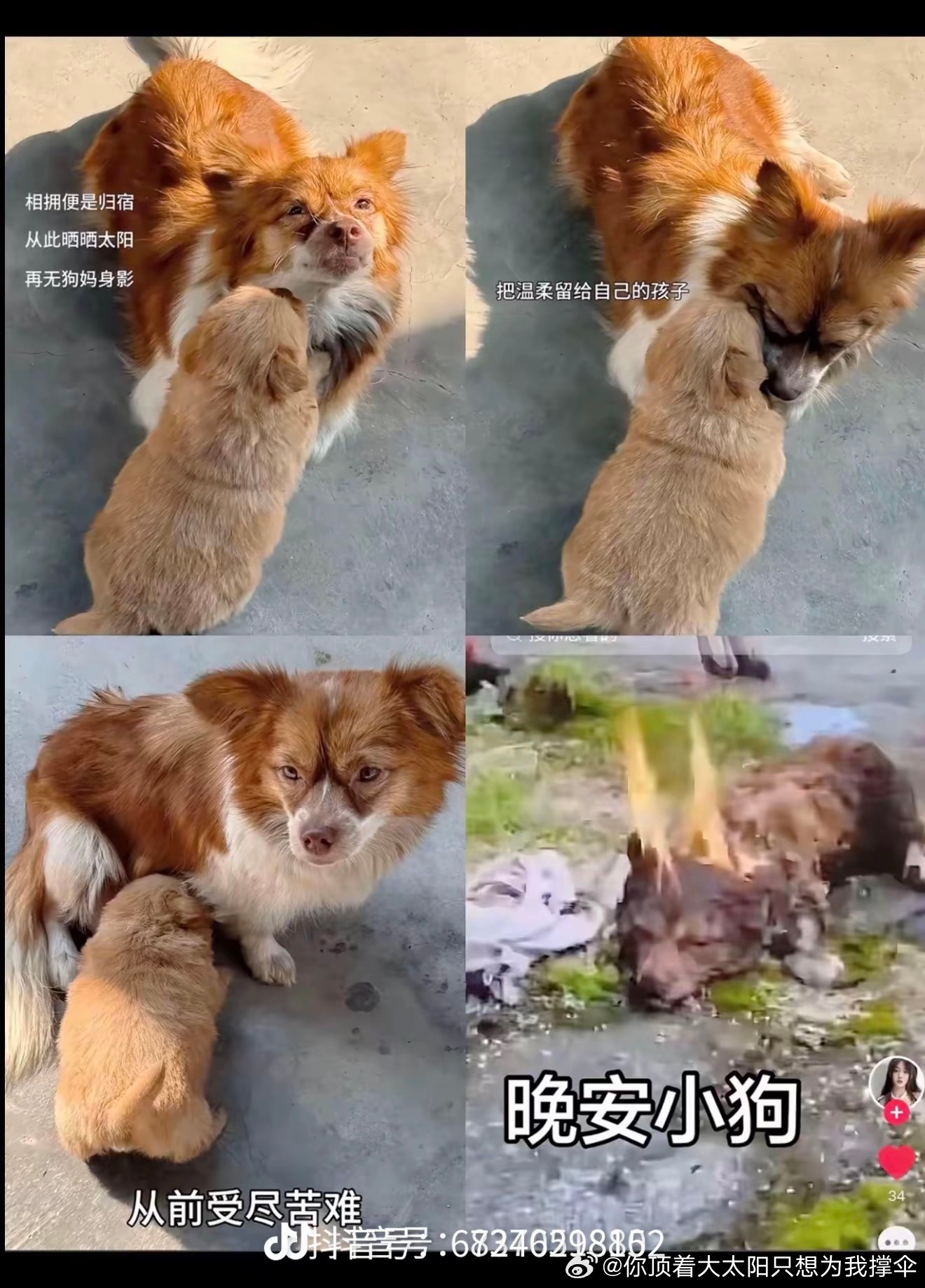 只要不立法，这样的事会源源不断。不是文明国 家吗？ 